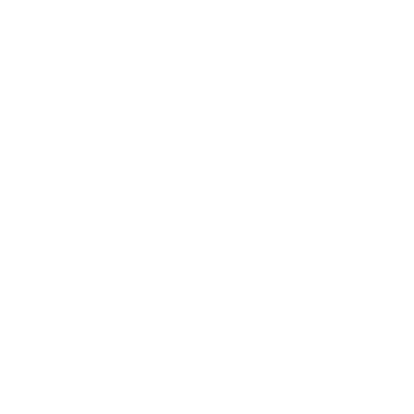 Vertical Evolution Logo