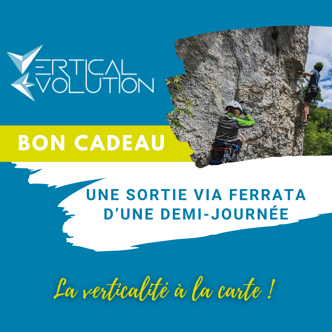 Bon cadeau Demi-journée Vertical Evolution